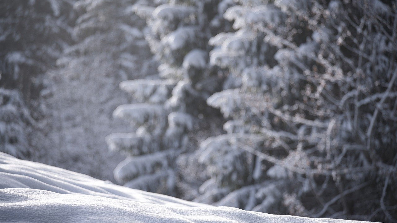 How-to-Stay-Warm-During-a-Winter-Hunt GLORYFIRE®