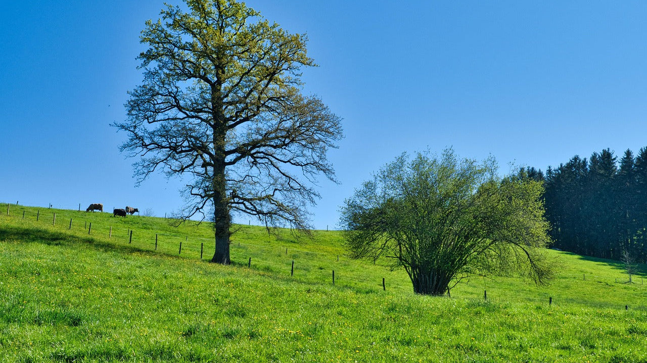 Essential Tactical Gear for Spring: Be Prepared for Any Mission