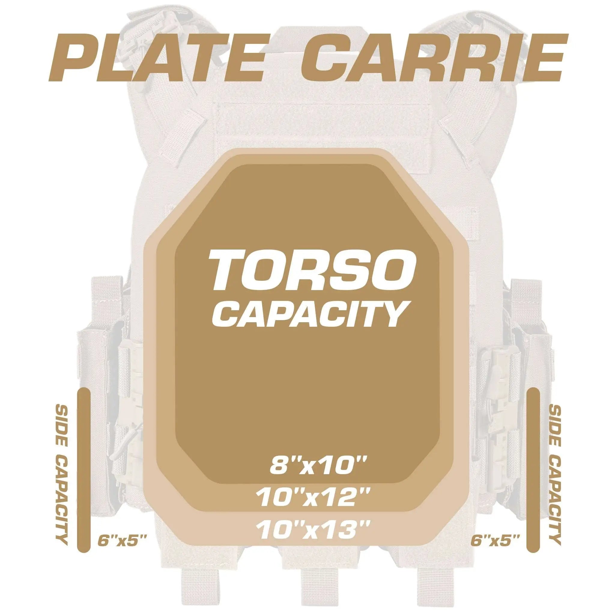 plate carrier