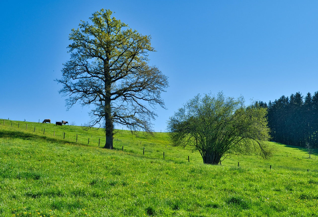 Essential Tactical Gear for Spring: Be Prepared for Any Mission