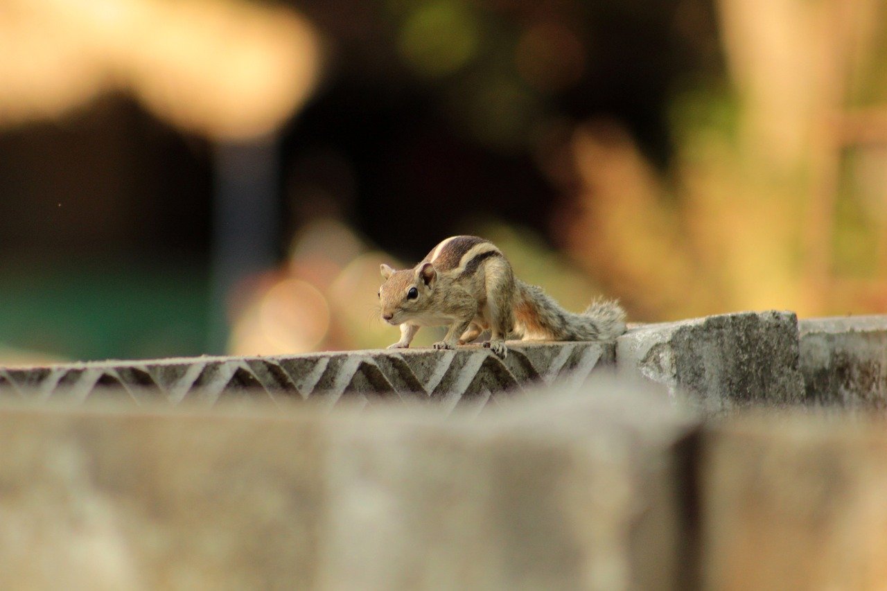 Safety-Tips-for-Hunters GLORYFIRE®