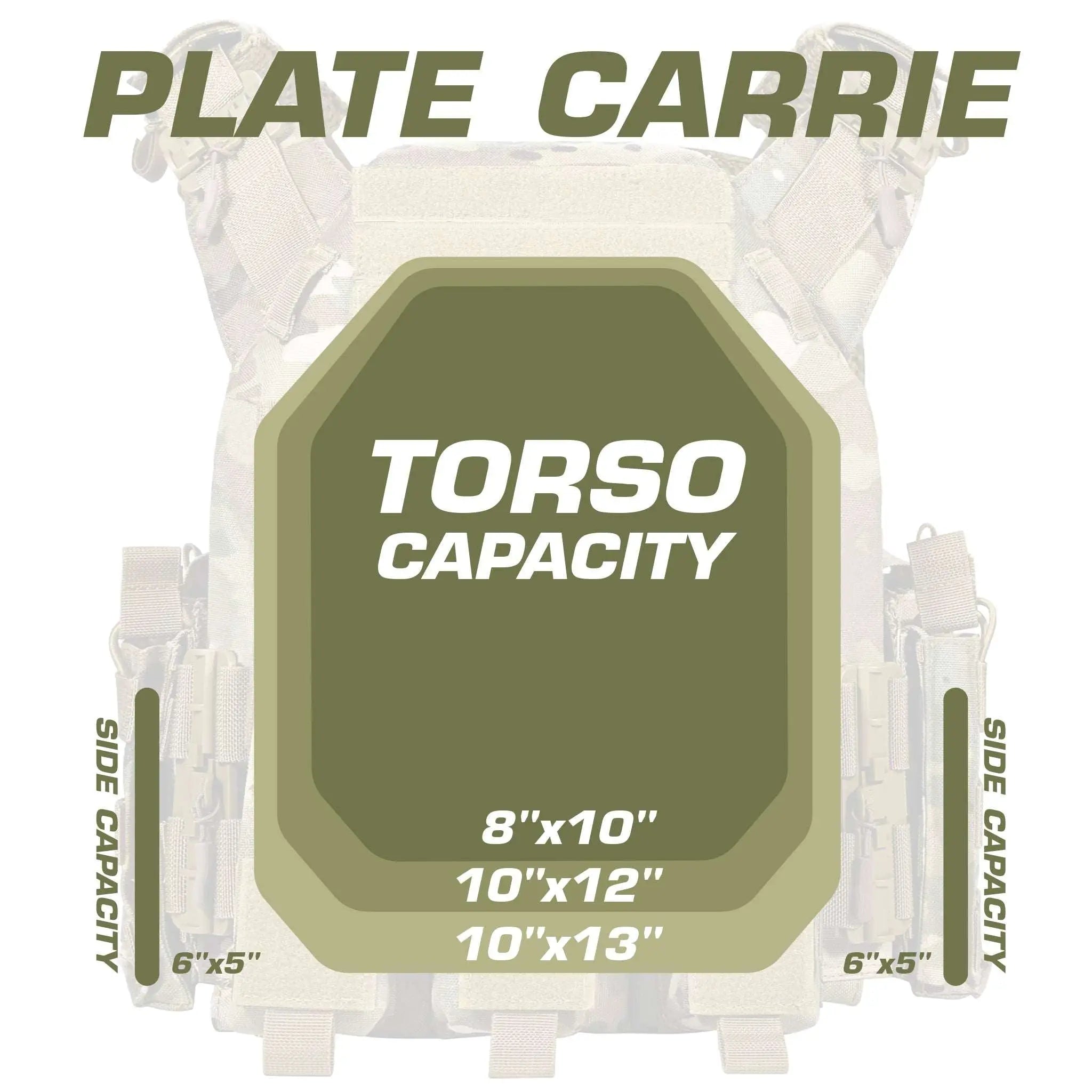 Plate Carrier